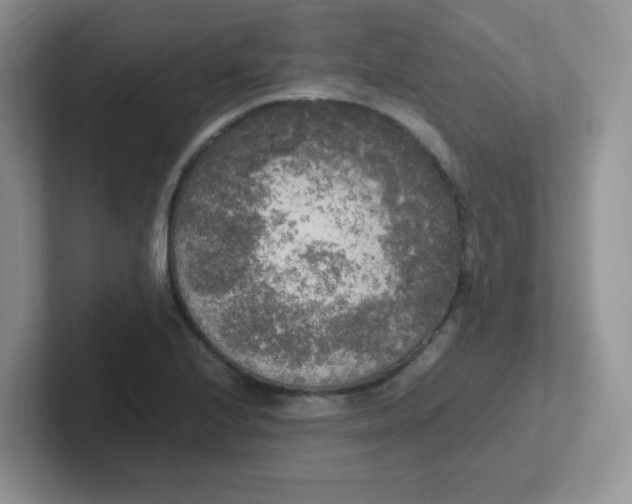 X0000102301224200808081537