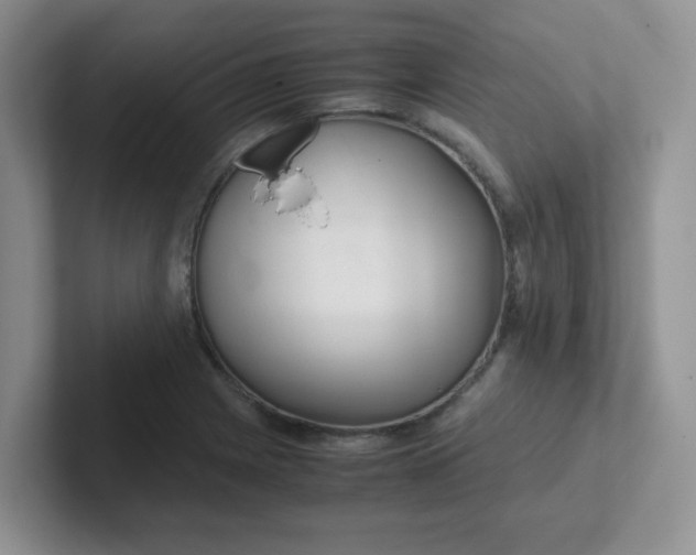 X0000102301225200808081537