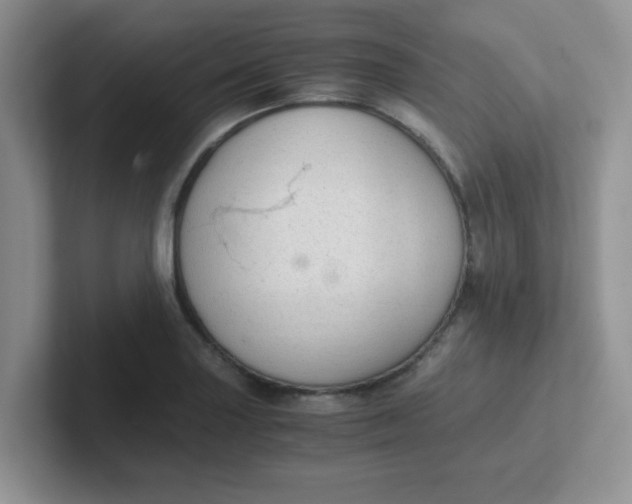 X0000102301227200808081537