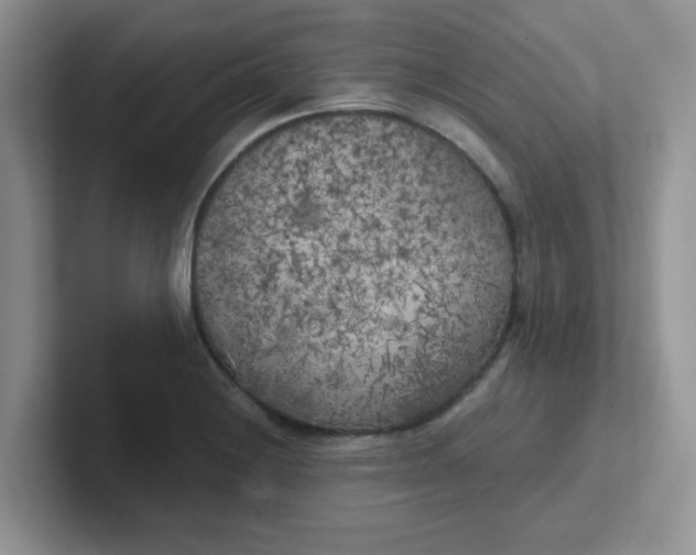 X0000102301228200808081537