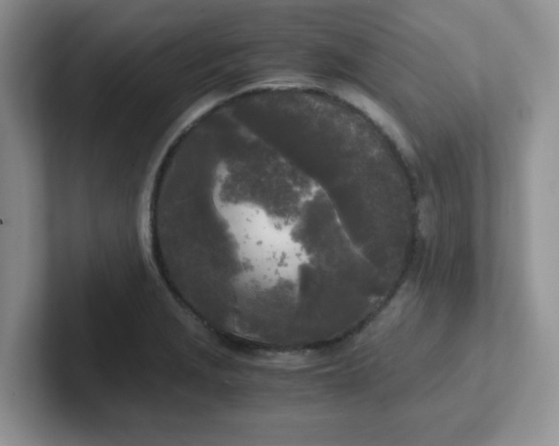 X0000102301229200808081537