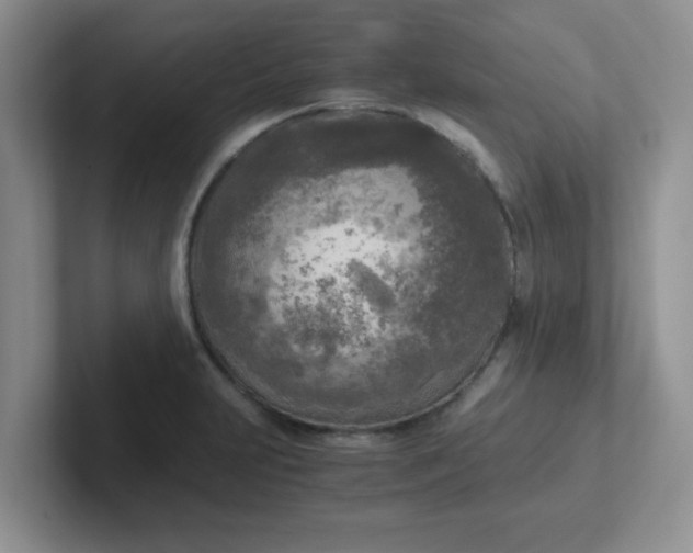 X0000102301231200808081538