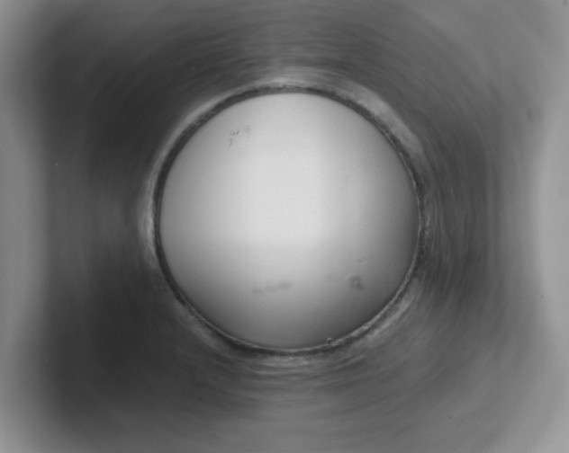 X0000102301232200808081538