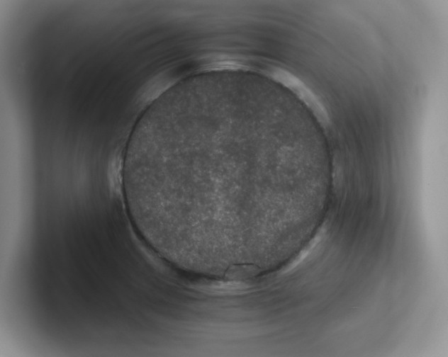 X0000102301233200808081538