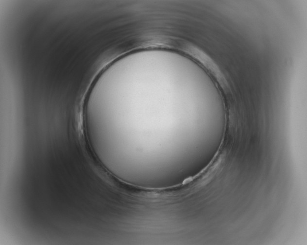 X0000102301234200808081538