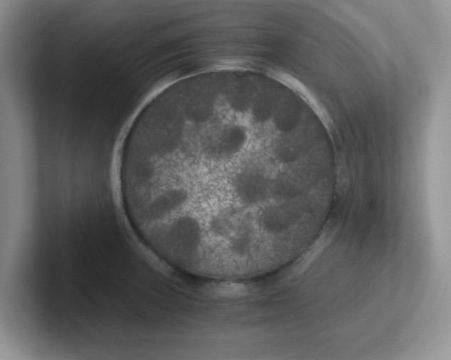 X0000102301235200808081538