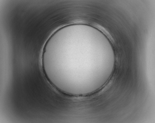 X0000102301236200808081538