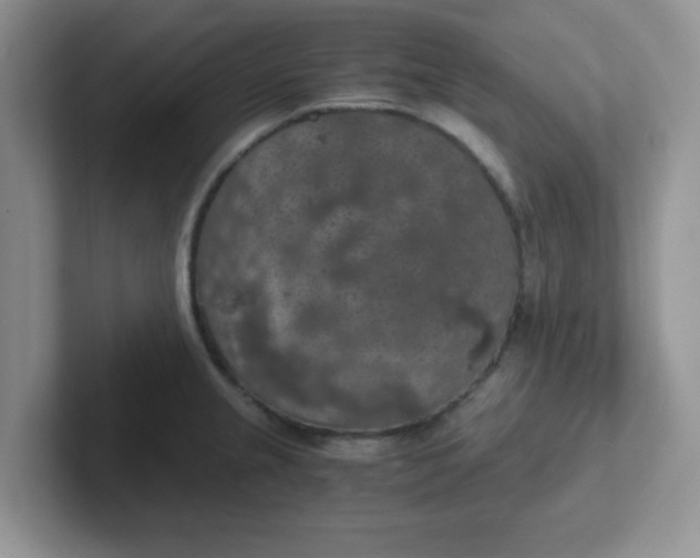 X0000102301237200808081538