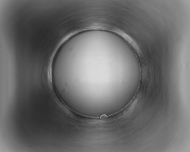 X0000102301238200808081538