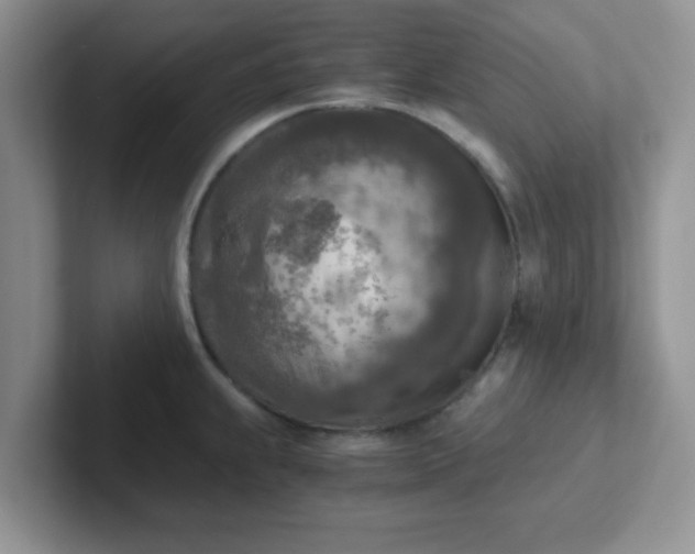 X0000102301239200808081538