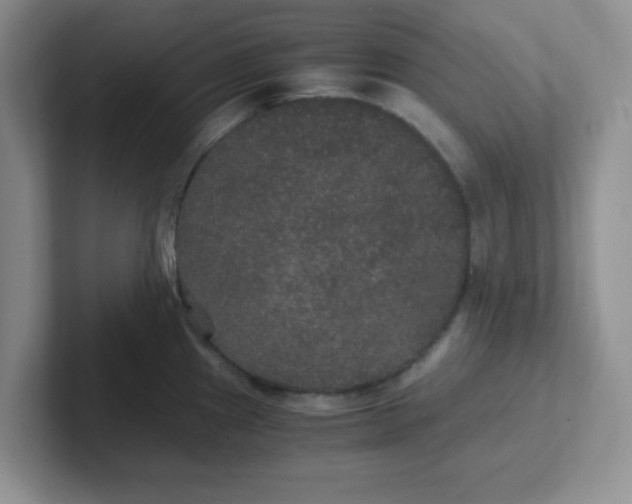 X0000102301241200808081538