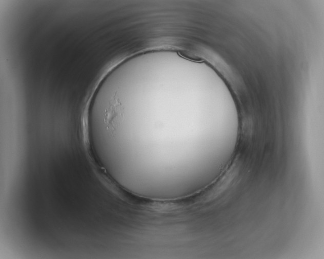 X0000102301242200808081538