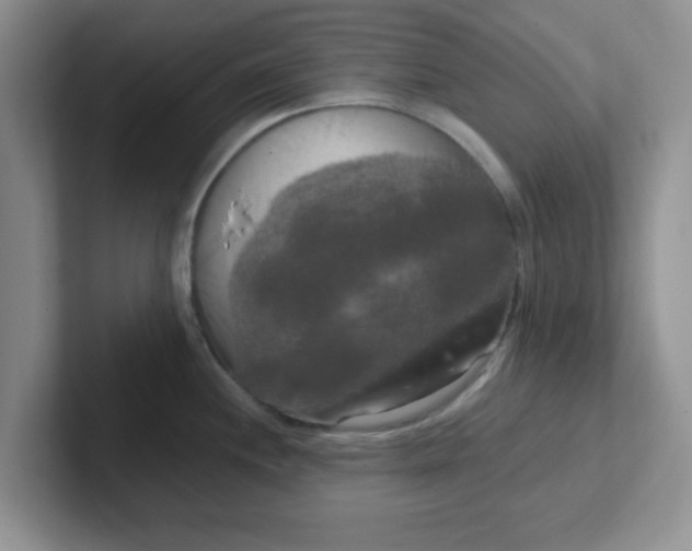 X0000102301244200808081538