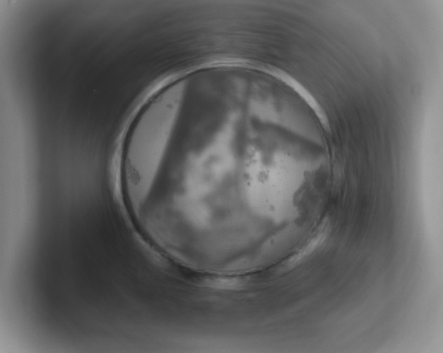 X0000102301245200808081538