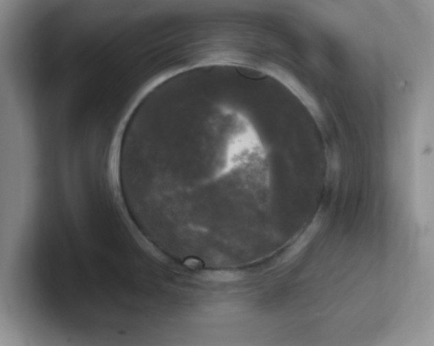 X0000102301246200808081538