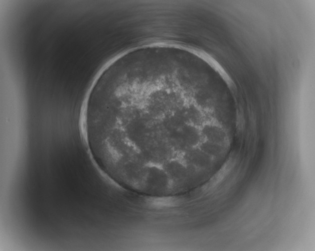 X0000102301247200808081538