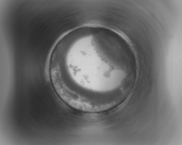 X0000102301248200808081538