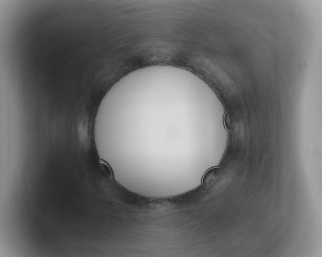 X0000102301250200808081537