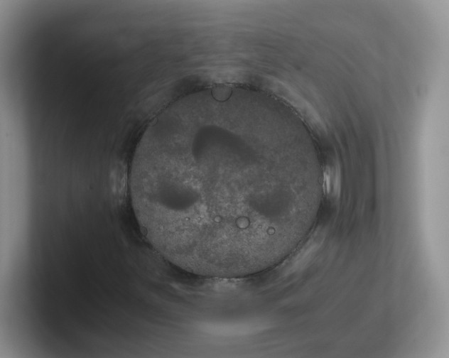 X0000102301251200808081537