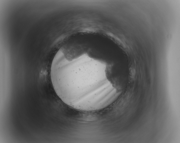 X0000102301254200808081537