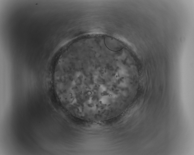 X0000102301255200808081537