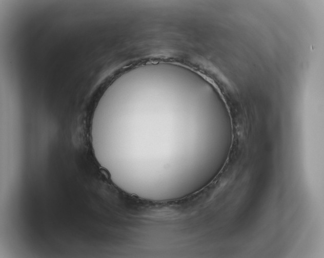 X0000102301256200808081537