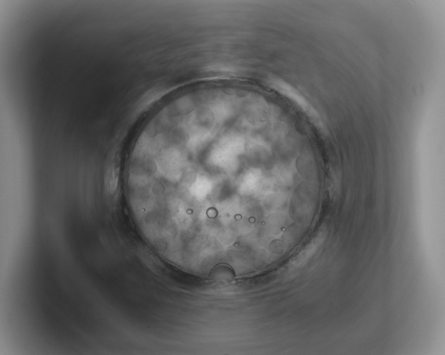 X0000102301259200808081537