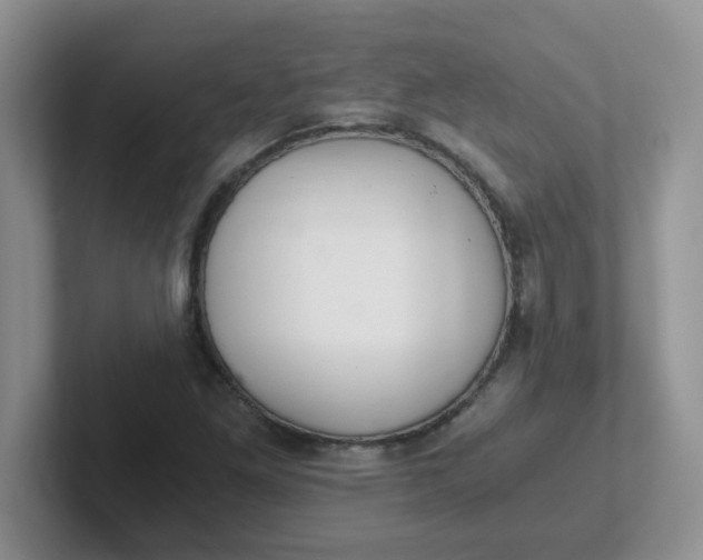 X0000102301261200808081537