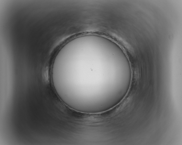 X0000102301262200808081537