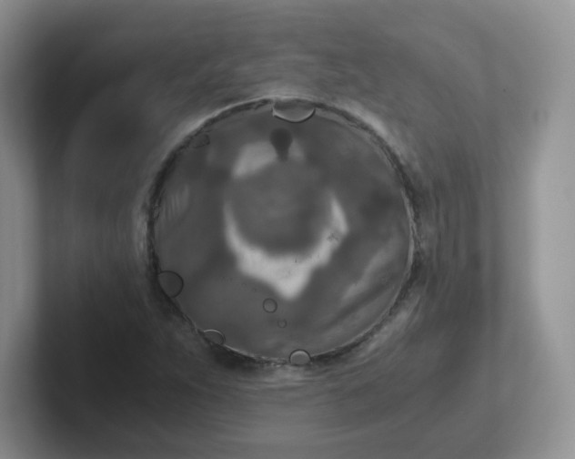 X0000102301263200808081537