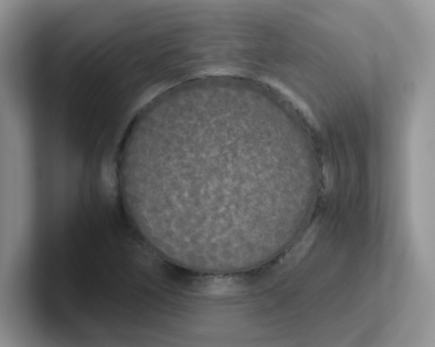 X0000102301266200808081537