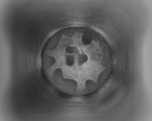 X0000102301267200808081537