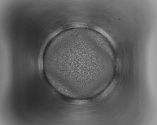 X0000102301269200808081537