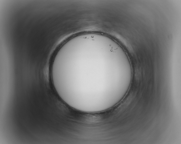 X0000102301270200808081537