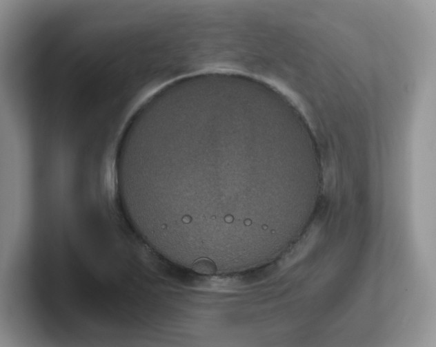 X0000102301271200808081537