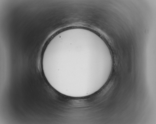 X0000102301272200808081537