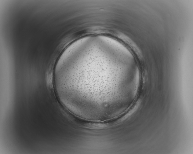 X0000102301273200808081537