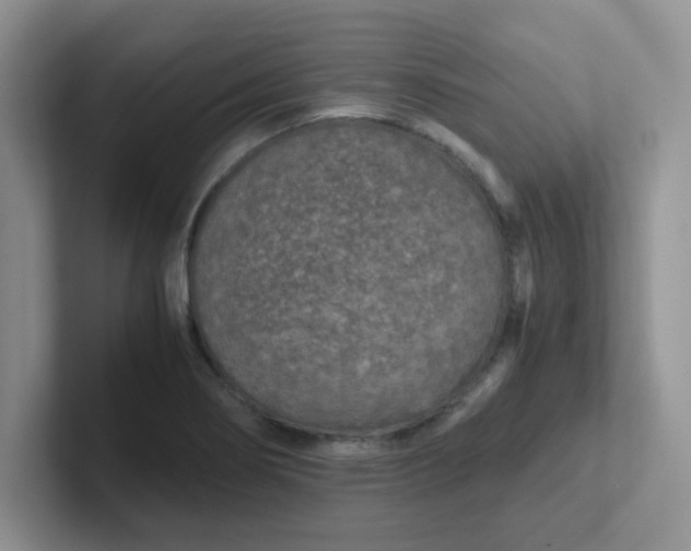 X0000102301274200808081537