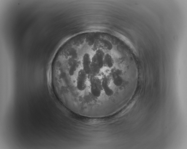 X0000102301275200808081537