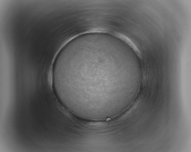 X0000102301276200808081537