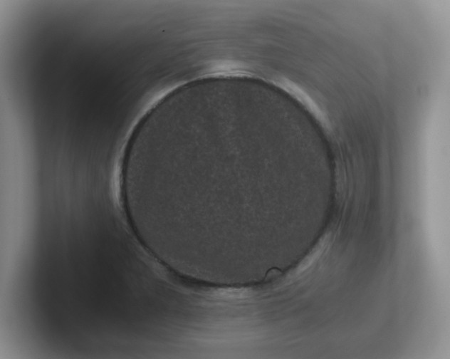 X0000102301277200808081537