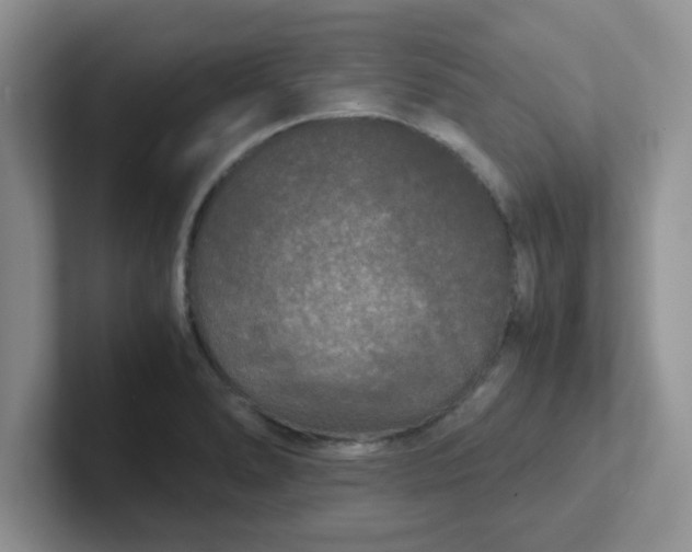 X0000102301278200808081537