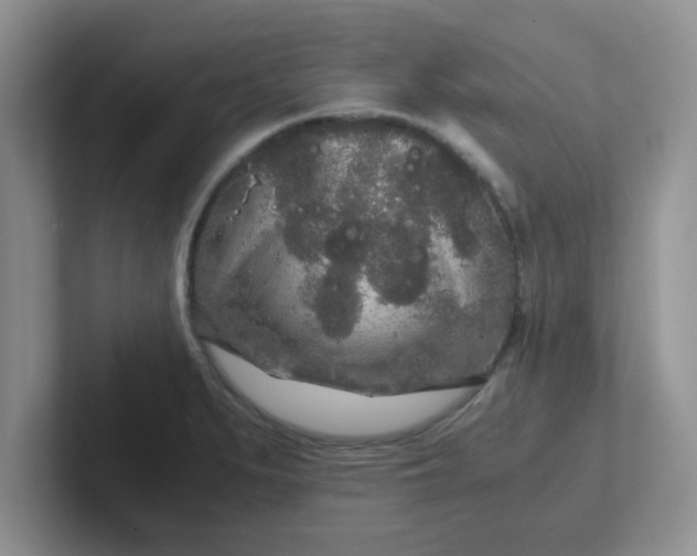 X0000102301279200808081537