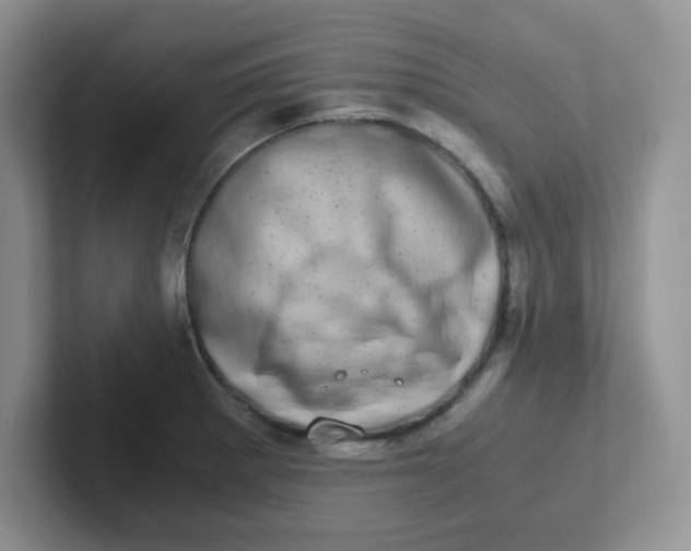 X0000102301281200808081537