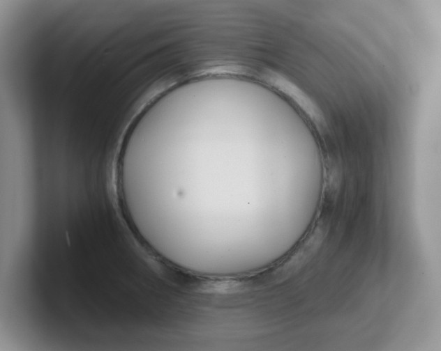 X0000102301282200808081537