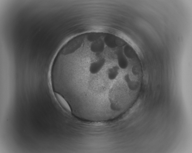 X0000102301283200808081537