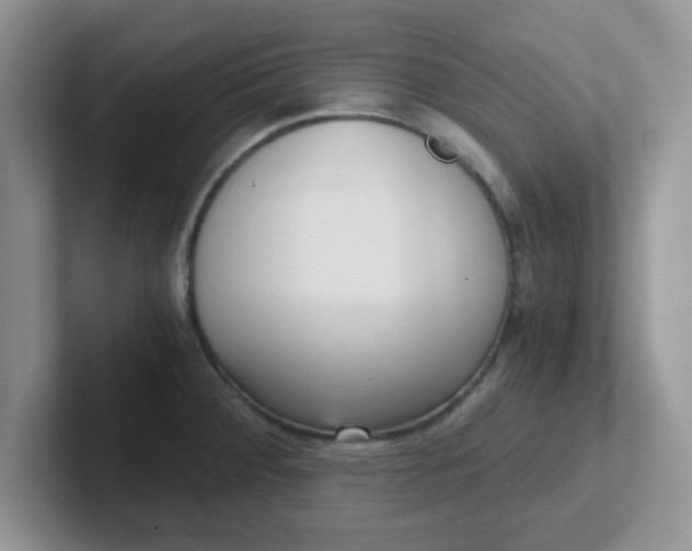 X0000102301284200808081537