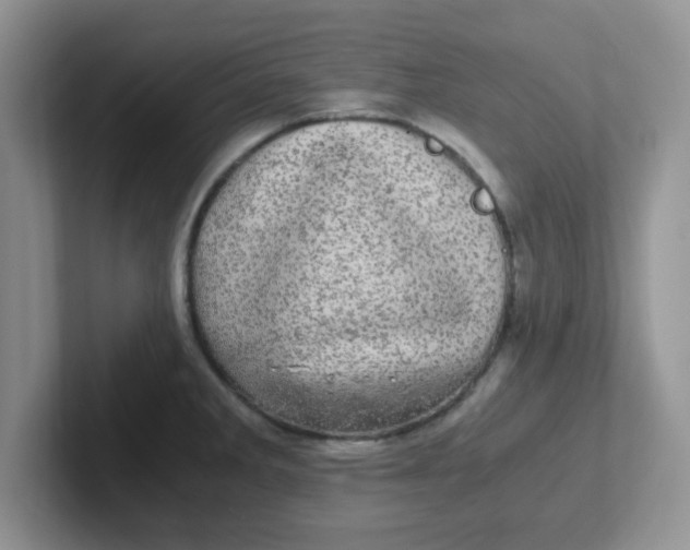 X0000102301285200808081537