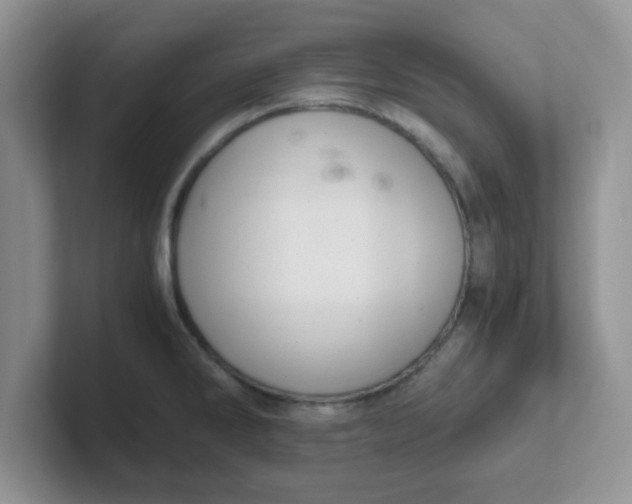 X0000102301286200808081537