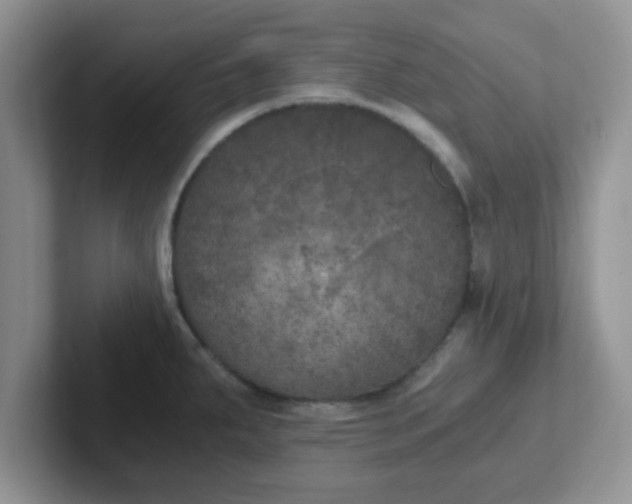 X0000102301287200808081537